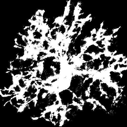 The Lu Lab at UVA Department of Neuroscience